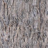 Seamless Bark 0003